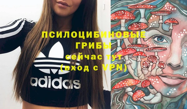 не бодяженный Верея