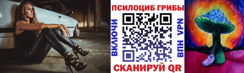 Галлюциногенные грибы Psilocybine cubensis  Ливны 